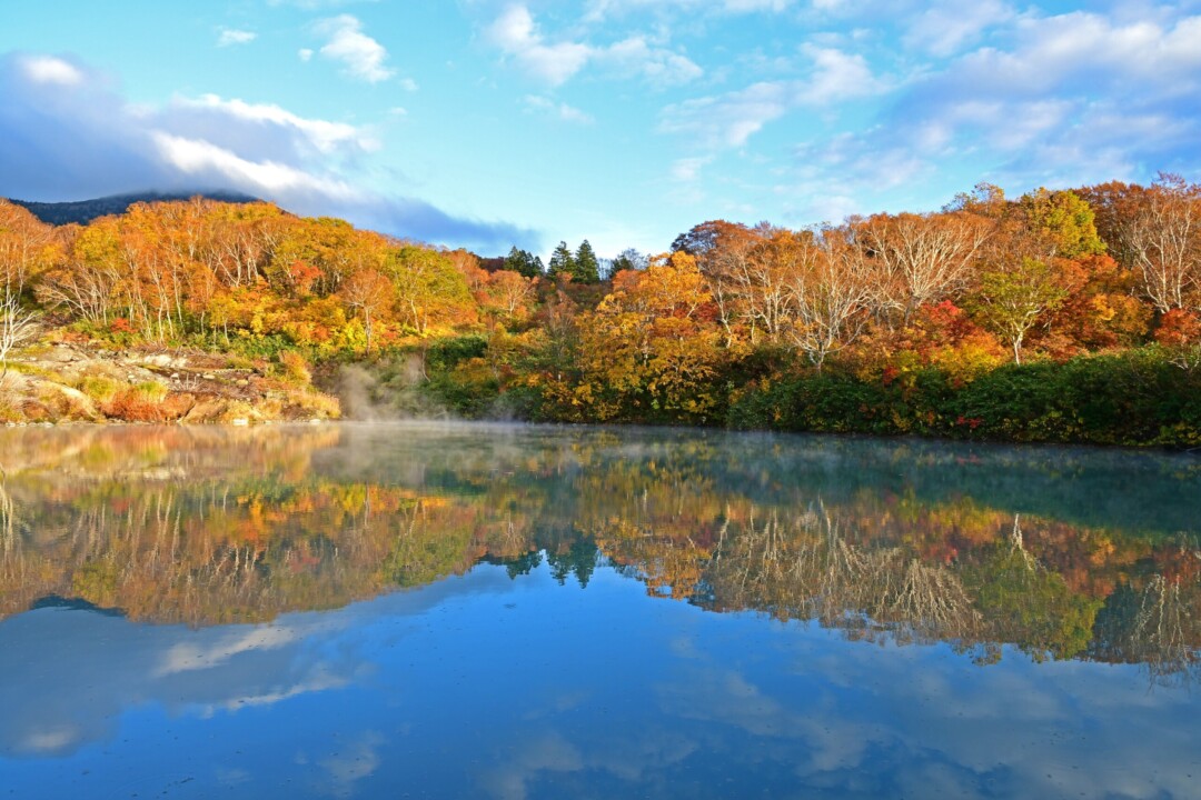 Aomori City/Jogakura Ohashi Bridge: Enjoy the autumn scenery of the gorge that stretches out across the entire field of view at “Japan’s best bridge”