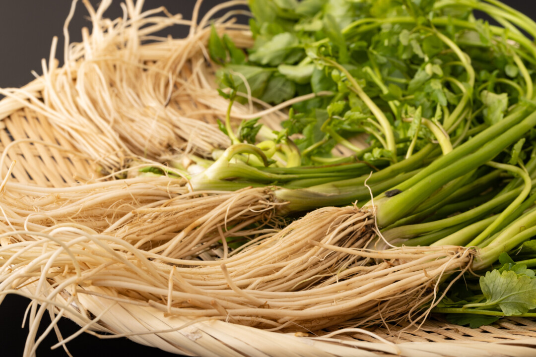 Sendai City/Taste the whole Japanese parsley, down to the root, at “Sendai Seri Nabe”