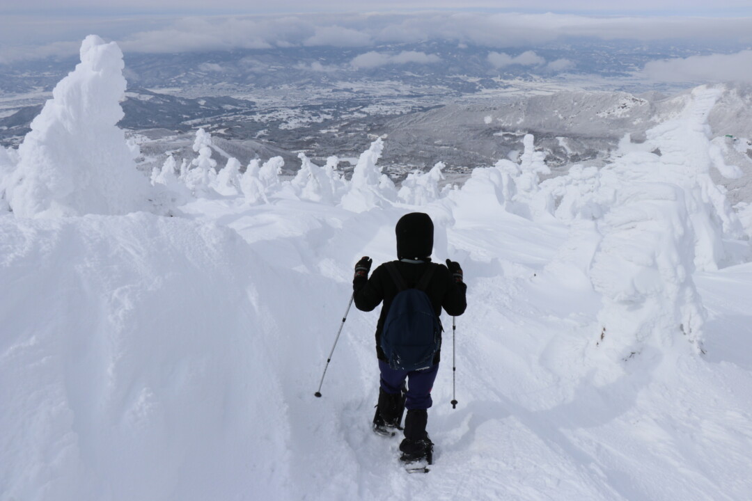 Yamagata City/Season has arrived! Activities to enjoy powder snow in Yamagata Zao