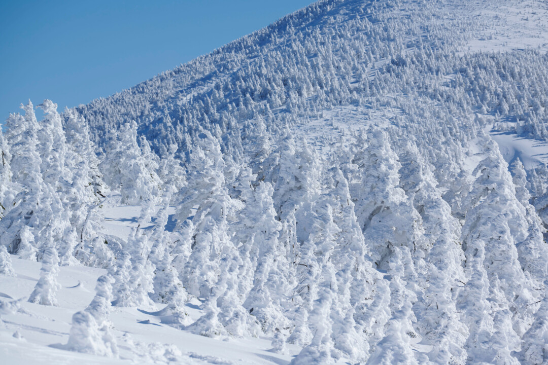 Aomori City/Sukayu Onsen, a secret hot spring that continues to preserve the culture of hot springs, and the frost-covered trees of Mt. Hakkoda