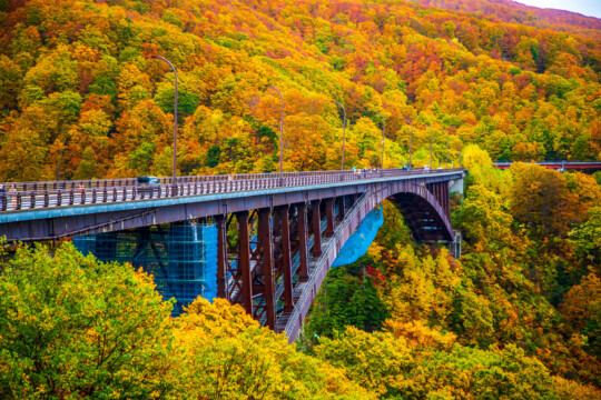 Aomori City/Jogakura Ohashi Bridge: Enjoy the autumn scenery of the gorge that stretches out across the entire field of view at “Japan’s best bridge”