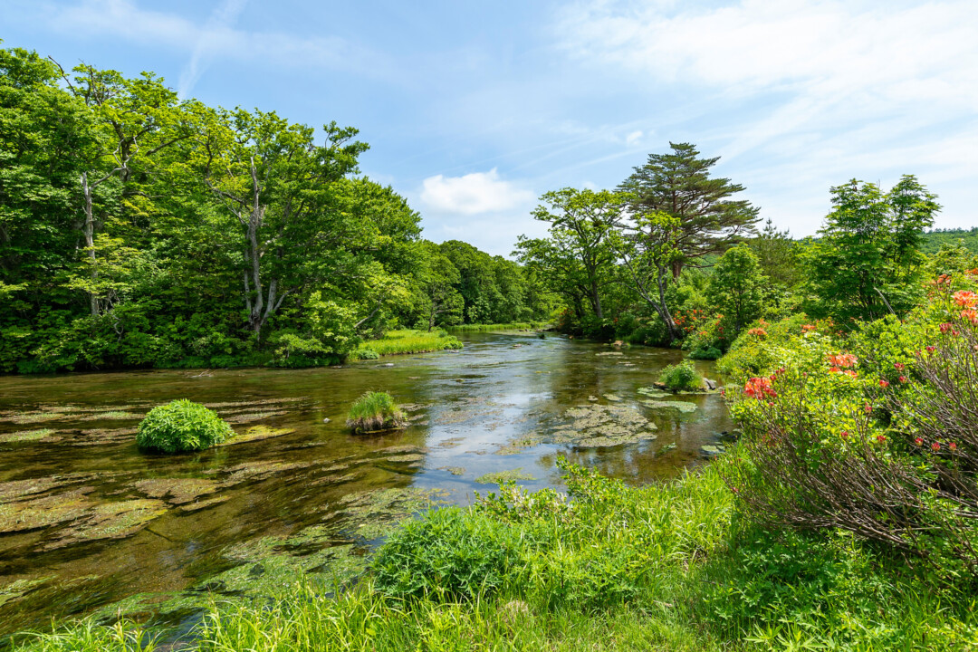 Aomori City/Mysterious Gudari Swamp in Hakkoda, Asamushi Onsen, a famous sunset spot