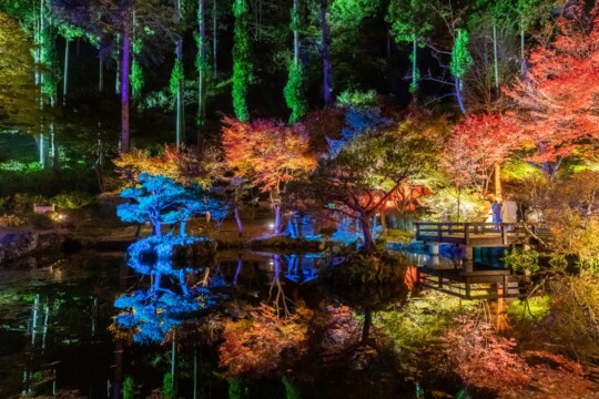 Sendai City/Akiu City is filled with light and art at “Akiurmina”