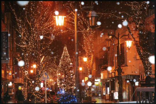 Fukushima City/“Drops of Light Illumination” that magically colors winter nights