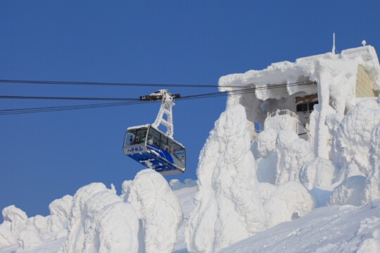 Aomori City/Feel spring in the melting snow of the Hakkoda Mountains and enjoy spring with Yukimuro Ringo