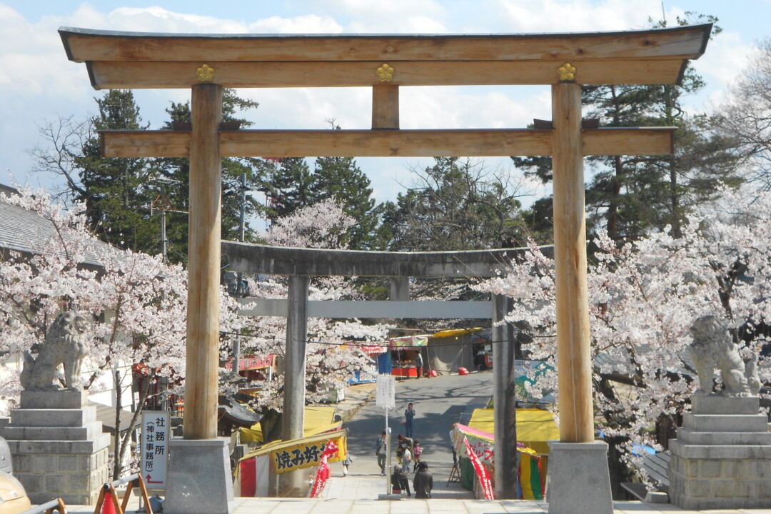 Fukushima City/Spring has arrived! “Fukushima Flower Corridor” trip to visit famous flower spots