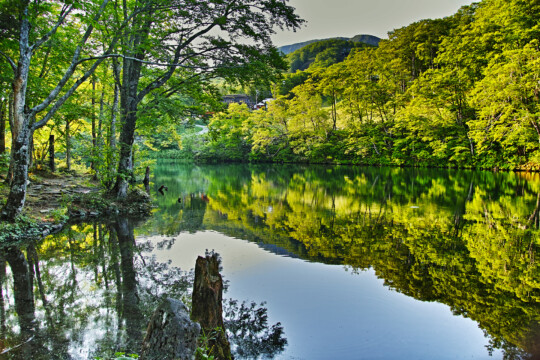 Yamagata City/Head to the mountains and valleys in search of fresh greenery while feeling the early summer sunshine.