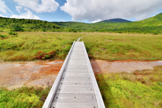 Fukushima City/Exhilarating trekking experience while feeling the vitality of plants