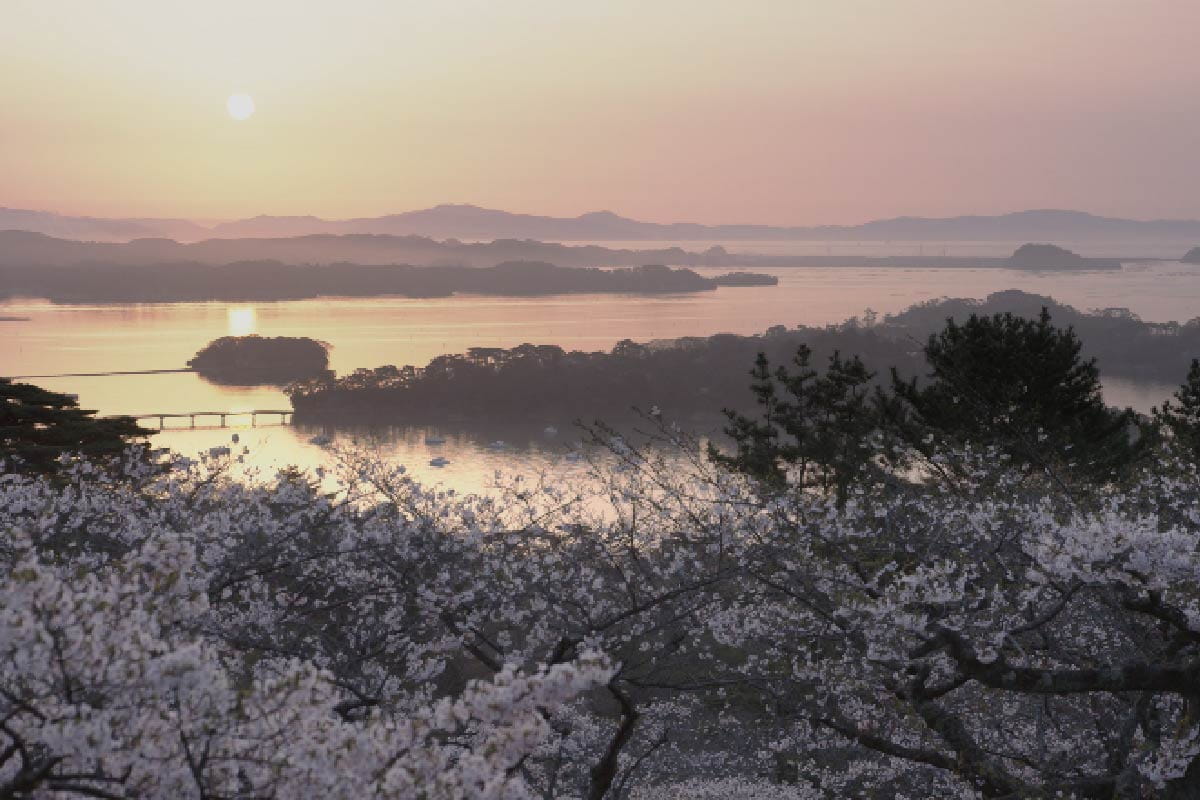 사교모도시노마쓰 공원