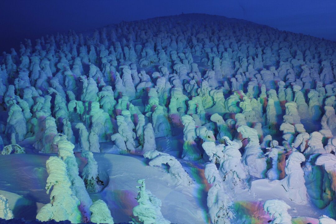 เมืองยามากาตะ/เพลิดเพลินกับธรรมชาติพร้อมซาโอโอเซนที่อบอวลด้วยไอน้ำ ปีศาจหิมะ และต้นไม้เคลือบน้ำแข็ง