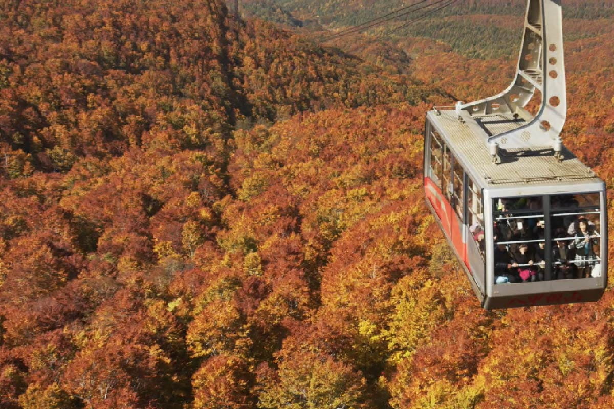 Autumn leaves of Hakkoda mountain range