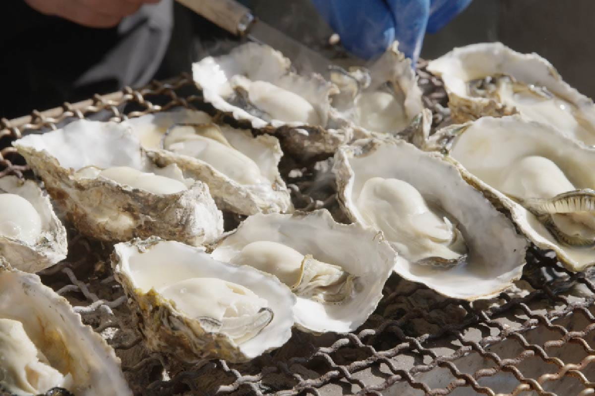 Matsushima Tourism Association Oyster Hut