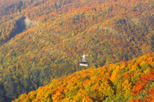 山形市／從纜車上俯瞰山形藏王的秋色漸層