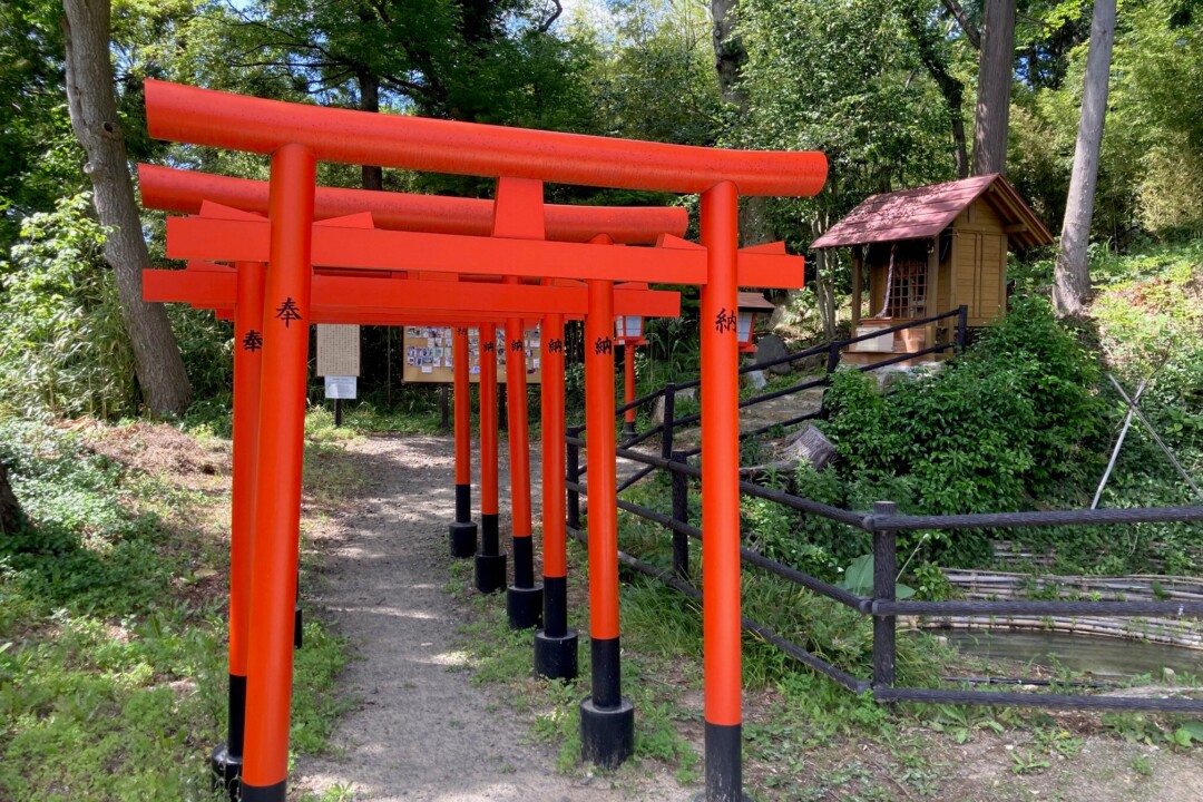 福島市／在與草鞋祭有淵源的信夫山・羽黒神社祈求腿腳健壯