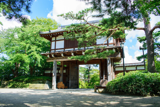 秋田市／自然與歷史交織之美。前往迎接蓮花觀賞期的千秋公園