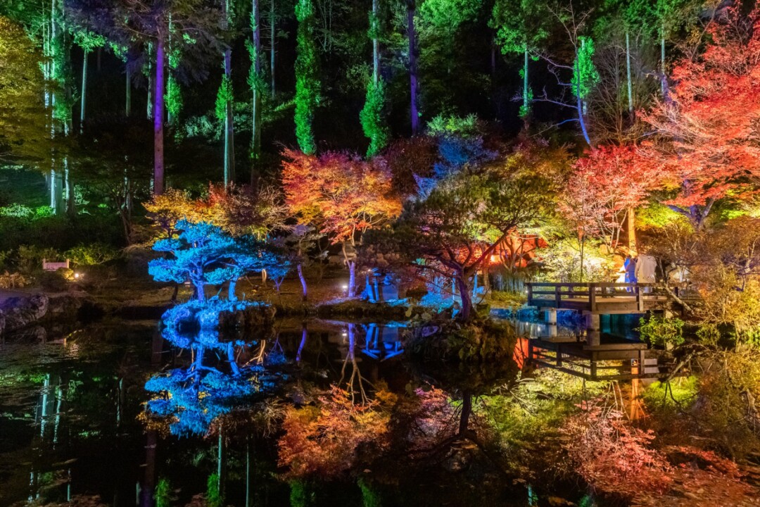 仙台市/秋保的街道充滿光與藝術的「AKIULUMINA」