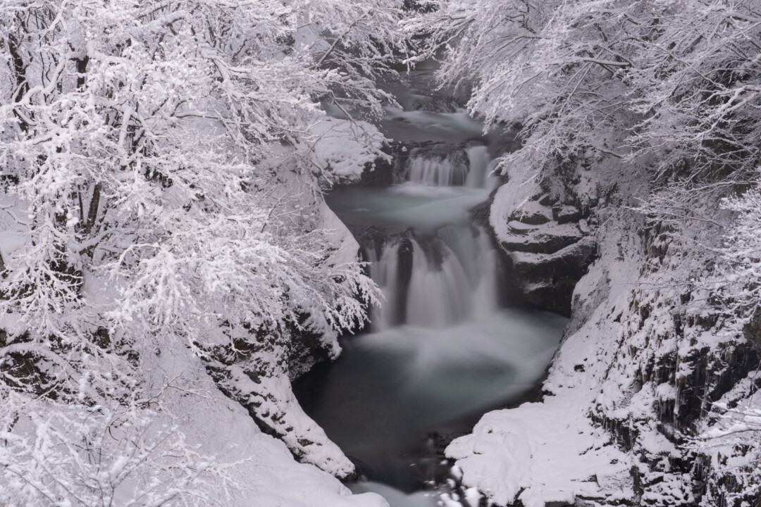 仙台市/在鳳鳴四十八瀑布與作並溫泉享受夢幻的雪景