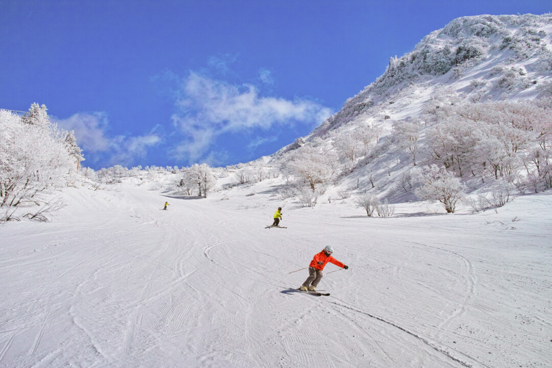 山形市/季節來臨!在山形藏王享受粉雪的各種活動