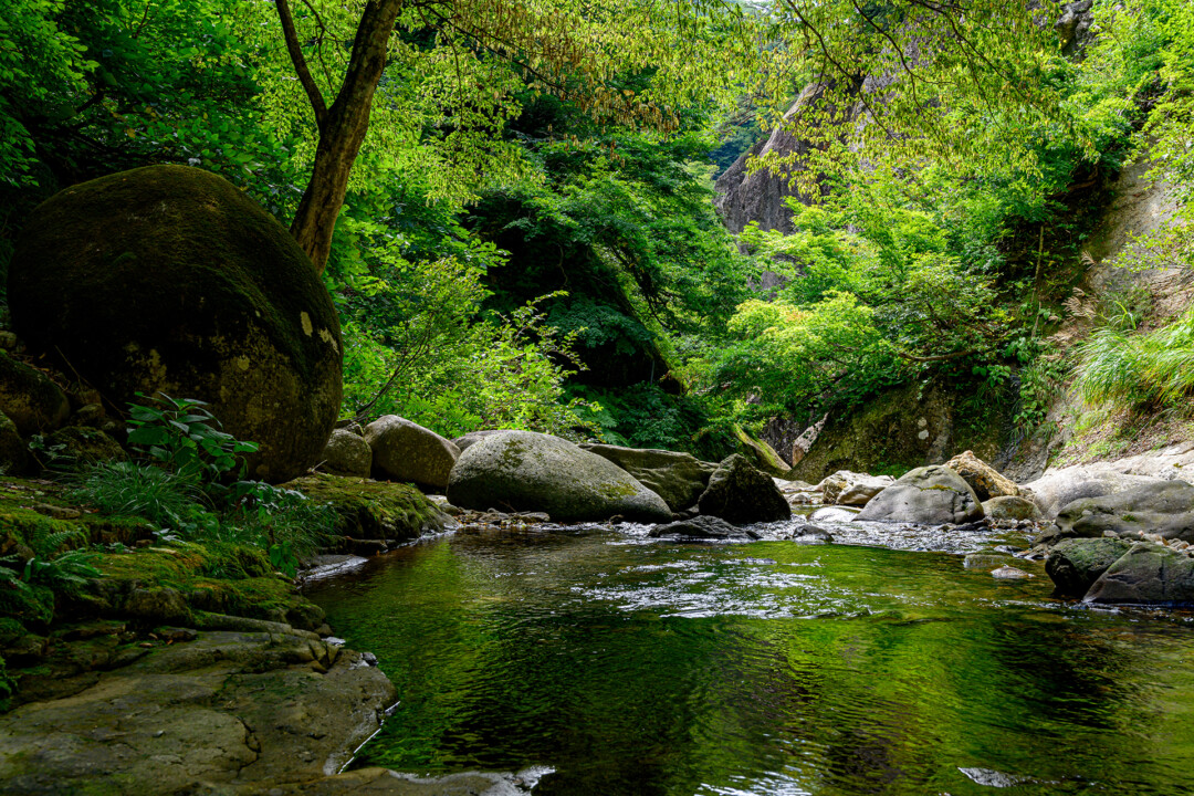山形市/感受初夏的陽光,為尋求新綠而上山下谷。