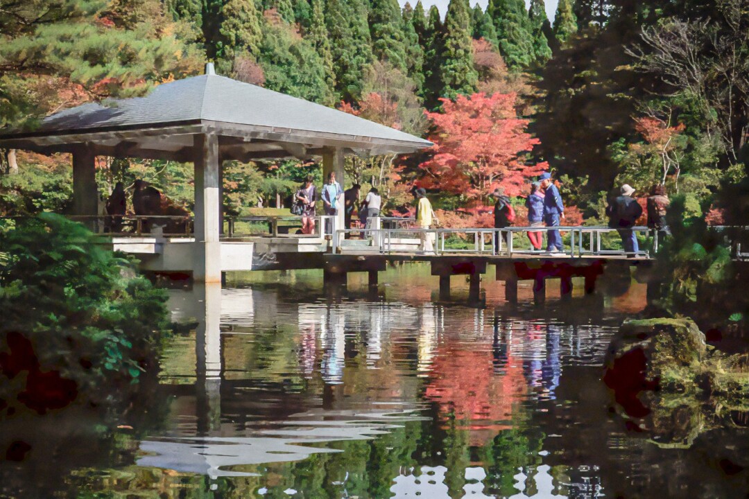 秋田市/波斯菊路、紅葉點燈…。感受秋意的療癒散步景點