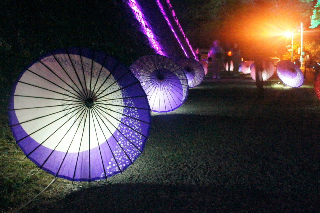 仙台市/靜靜承接祭典喧囂的「仙台七夕夜間祭典-宵灯-」