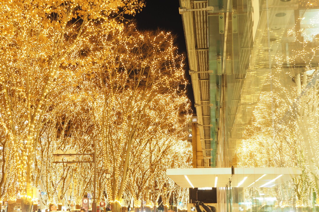仙台市／杜の都が一瞬で光の都になる感動のイルミネーション「2022 SENDAI光のページェント」