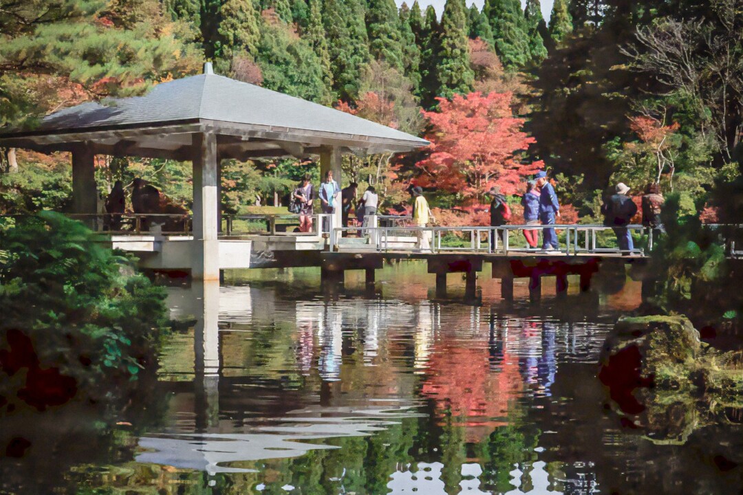 秋田市／コスモスロード、紅葉ライトアップ…。秋を感じる癒しの散歩スポット
