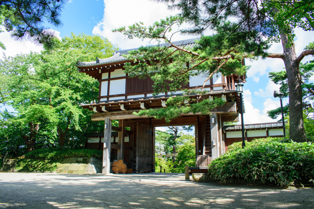 秋田市／自然と歴史が織りなす美しさ。ハスの見頃を迎えた千秋公園へ