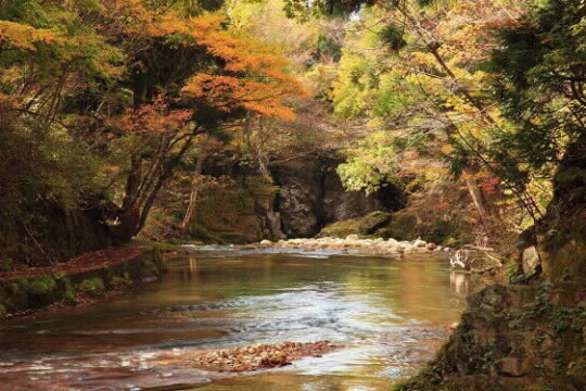 秋田市／まるで絵画！錦秋に染まる岨谷峡で紅葉狩り