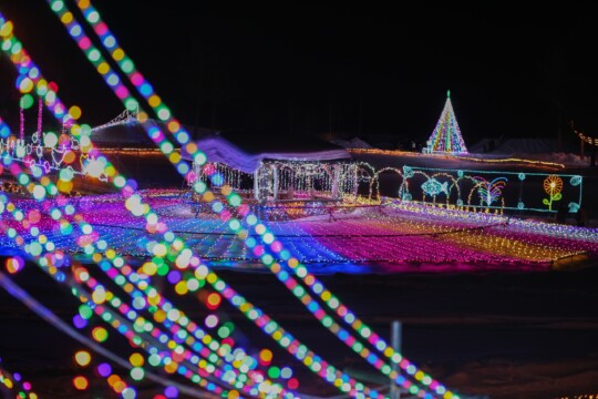 盛岡市／本州一の寒さとロマンチックな氷のアートを体験