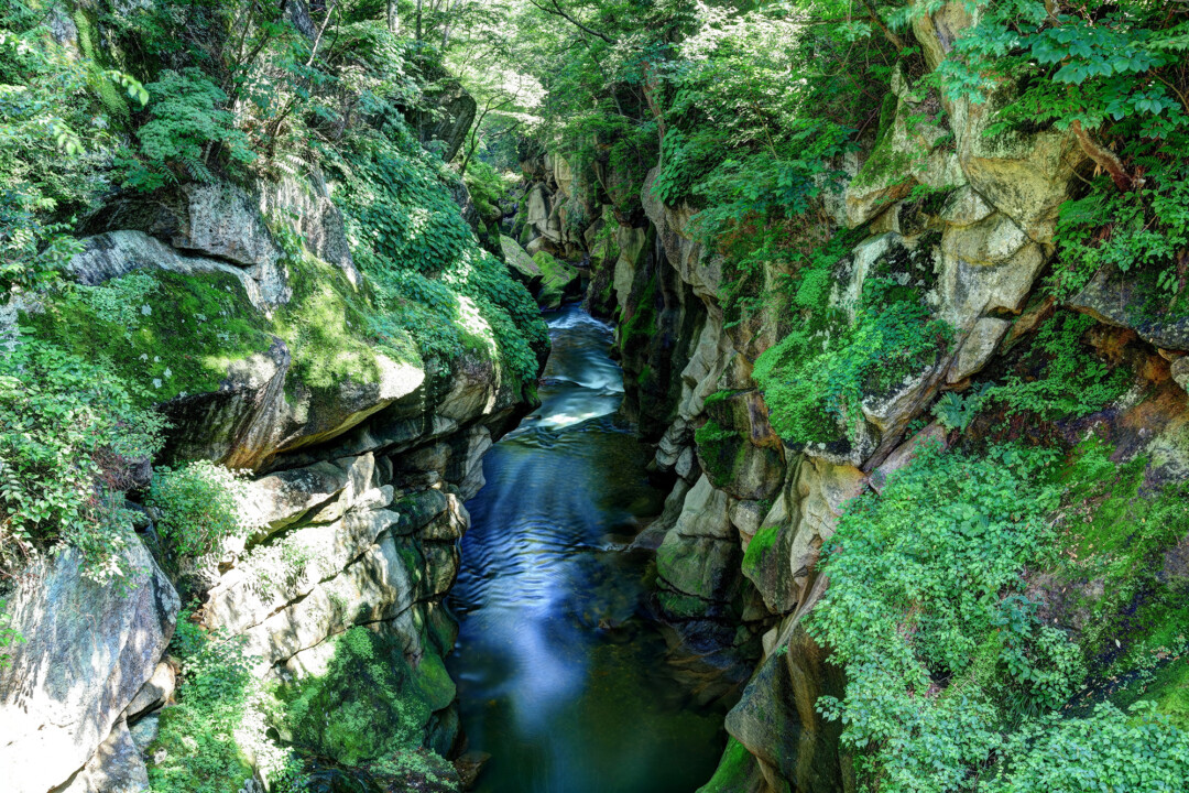 仙台市/来京,恋人的圣地,仙台海之森水族馆的清凉体验