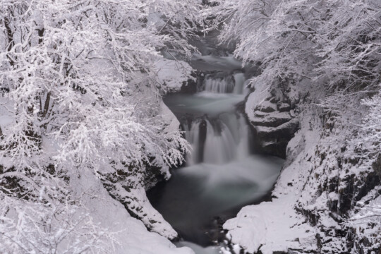 仙台市/欣赏大鸟四十八瀑布和作并温泉的梦幻雪景
