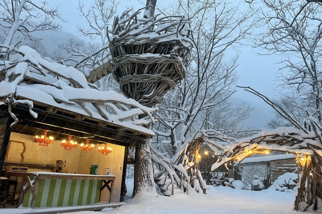 福岛市/体验只有冬天才能享受的终极户外体验“冬令营”