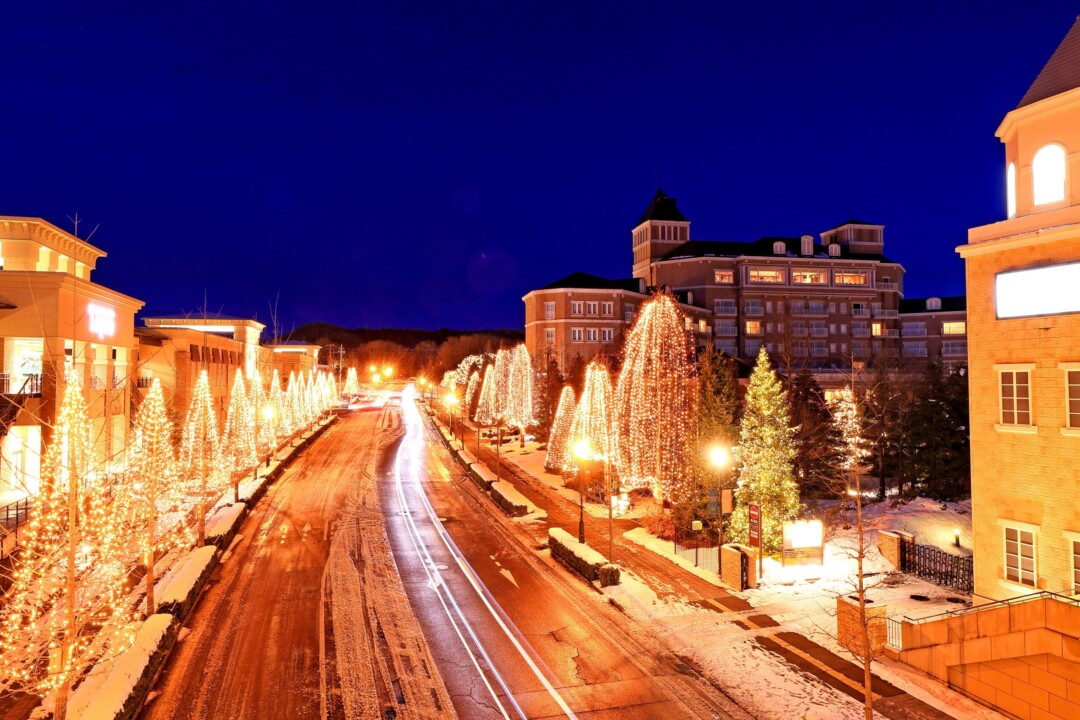 仙台市/森林之城瞬间变成光之城，令人印象深刻的灯光“2022仙台光之盛典”