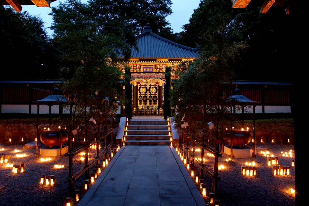 仙台市/“仙台七夕夜祭-晚间灯光”感受节日的喧嚣