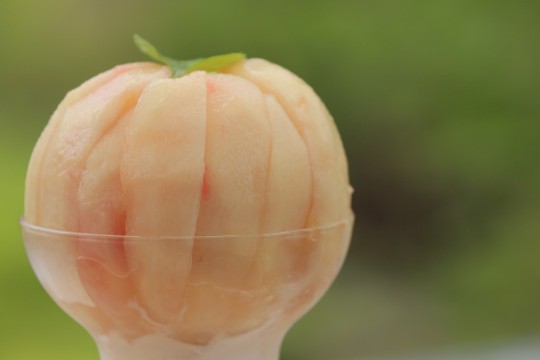 福岛市／果园制作的宝石水果巴菲 + 能遇见外星人的神秘之山。